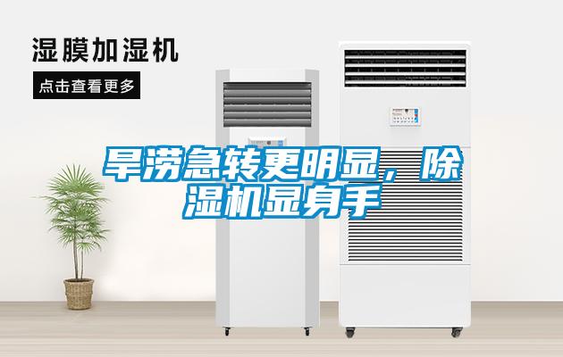 旱澇急轉更明顯，除濕機顯身手