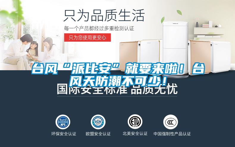 臺風(fēng)“派比安”就要來啦！臺風(fēng)天防潮不可少！
