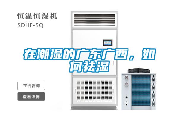 在潮濕的廣東廣西，如何祛濕