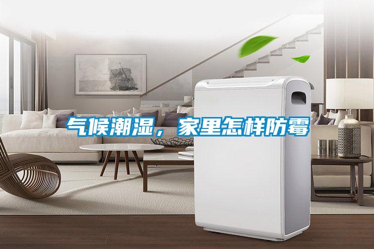 氣候潮濕，家里怎樣防霉