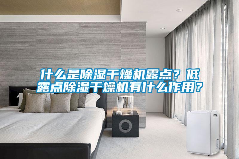 什么是除濕干燥機露點？低露點除濕干燥機有什么作用？