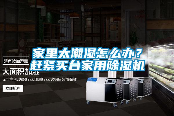 家里太潮濕怎么辦？趕緊買臺家用除濕機