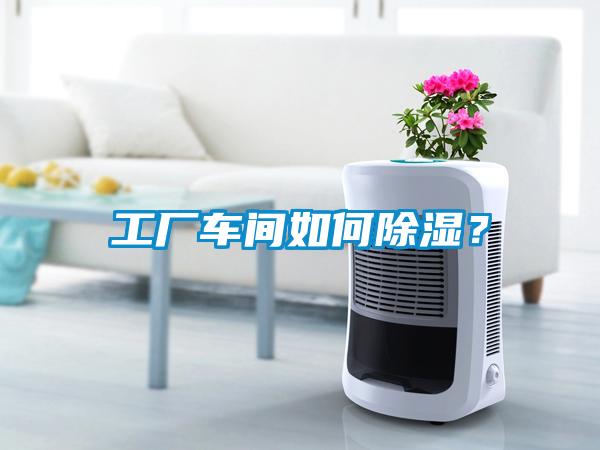 工廠車間如何除濕？