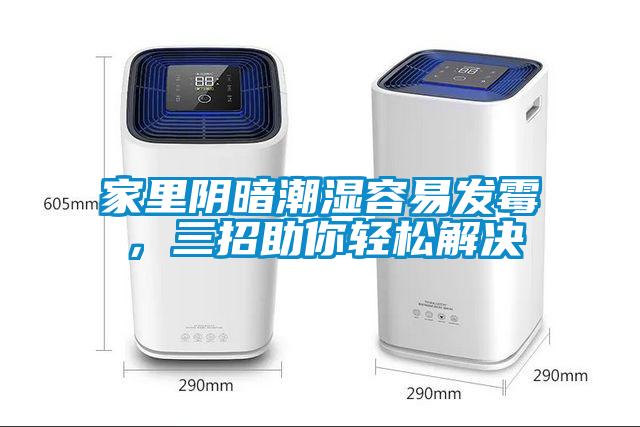家里陰暗潮濕容易發(fā)霉，三招助你輕松解決