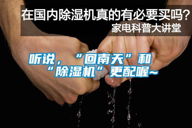 聽說，“回南天”和“除濕機”更配喔~