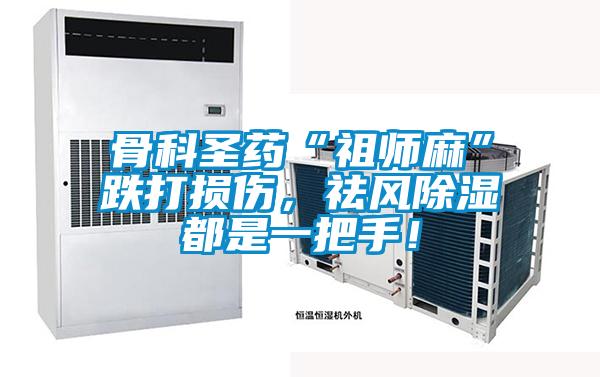 骨科圣藥“祖師麻”跌打損傷，祛風(fēng)除濕都是一把手！