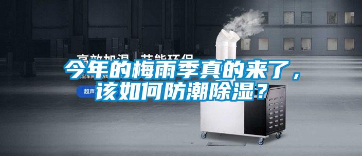今年的梅雨季真的來了，該如何防潮除濕？
