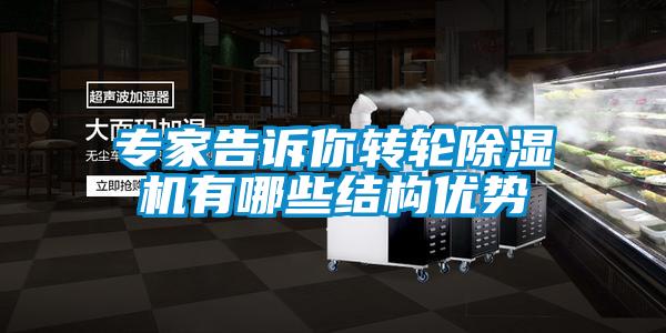 專家告訴你轉(zhuǎn)輪除濕機(jī)有哪些結(jié)構(gòu)優(yōu)勢(shì)