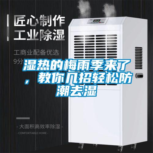 濕熱的梅雨季來(lái)了，教你幾招輕松防潮去濕