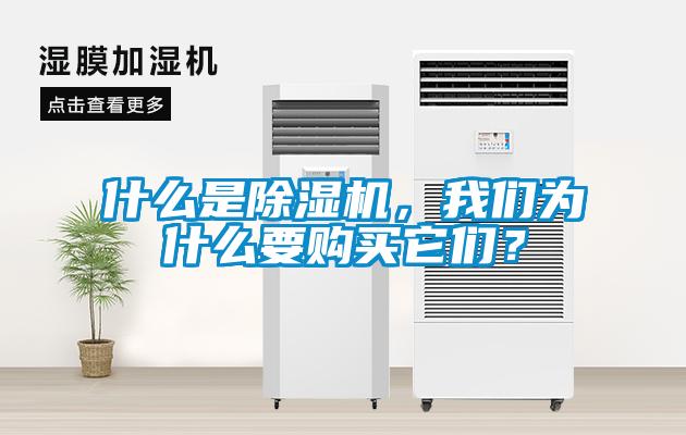 什么是除濕機(jī)，我們?yōu)槭裁匆徺I它們？