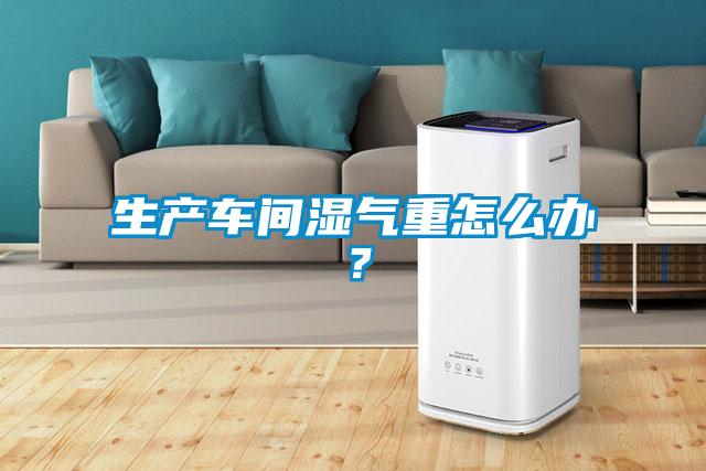 生產(chǎn)車間濕氣重怎么辦？