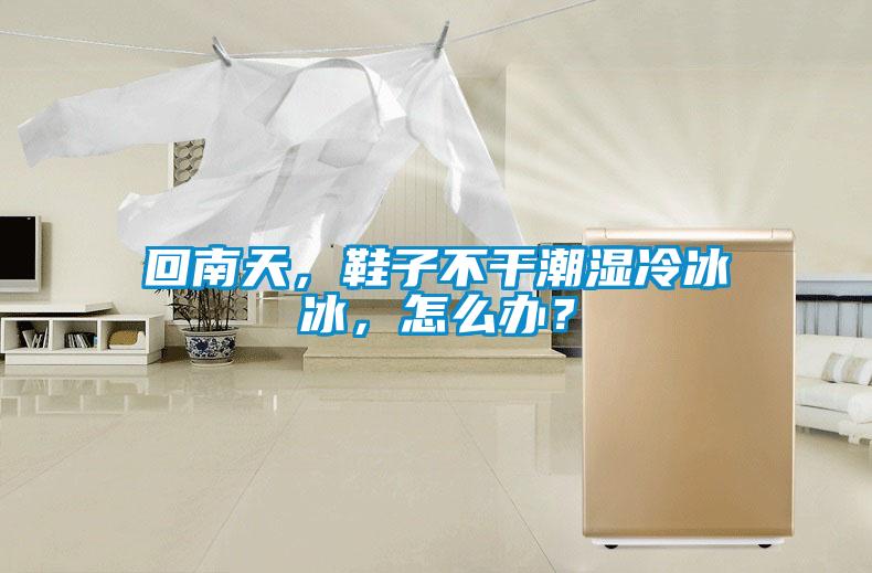 回南天，鞋子不干潮濕冷冰冰，怎么辦？