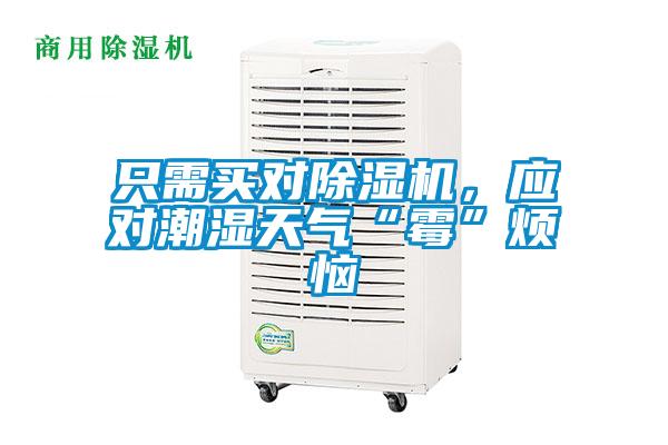 只需買對(duì)除濕機(jī)，應(yīng)對(duì)潮濕天氣“霉”煩惱