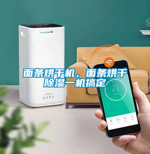 面條烘干機，面條烘干除濕一機搞定