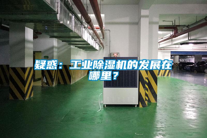 疑惑：工業(yè)除濕機的發(fā)展在哪里？
