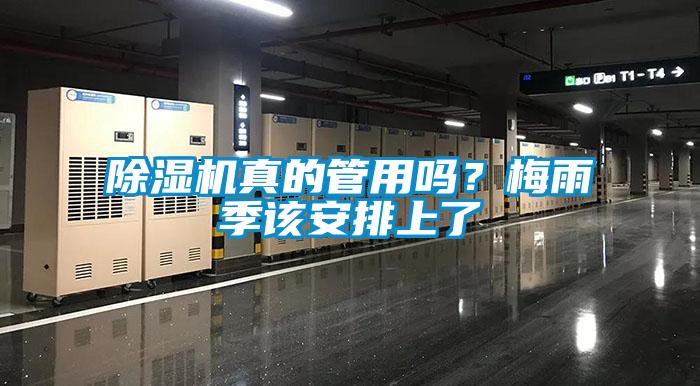 除濕機(jī)真的管用嗎？梅雨季該安排上了