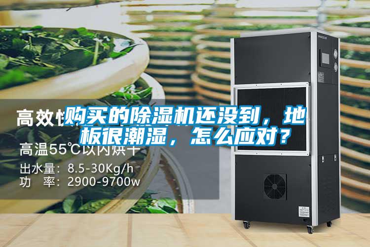 購買的除濕機(jī)還沒到，地板很潮濕，怎么應(yīng)對？