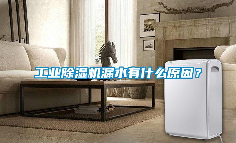 工業(yè)除濕機漏水有什么原因？