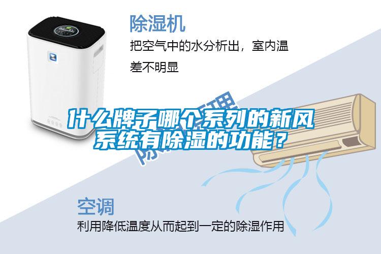什么牌子哪個系列的新風(fēng)系統(tǒng)有除濕的功能？