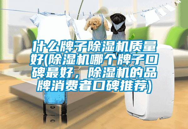 什么牌子除濕機(jī)質(zhì)量好(除濕機(jī)哪個(gè)牌子口碑最好，除濕機(jī)的品牌消費(fèi)者口碑推薦)
