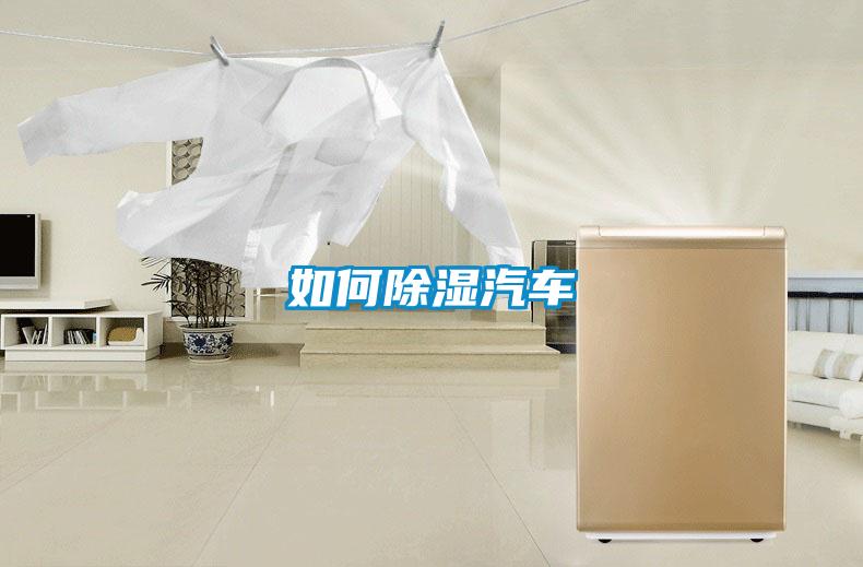 如何除濕汽車(chē)