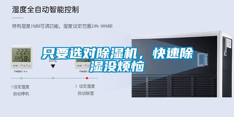 只要選對除濕機，快速除濕沒煩惱