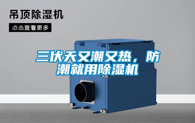 三伏天又潮又熱，防潮就用除濕機