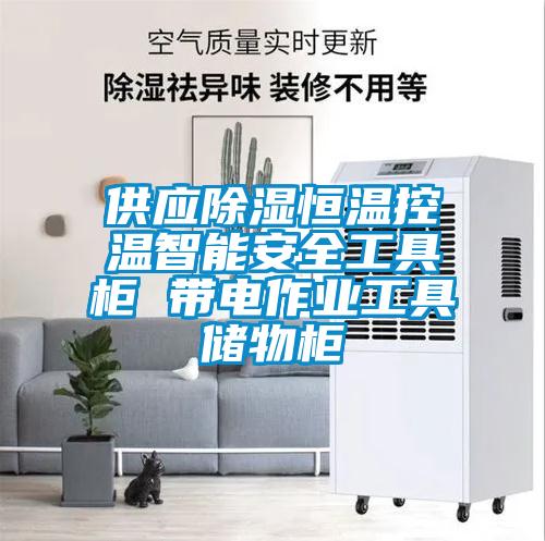 供應(yīng)除濕恒溫控溫智能安全工具柜 帶電作業(yè)工具儲(chǔ)物柜