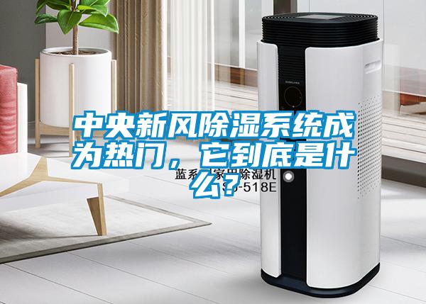 中央新風(fēng)除濕系統(tǒng)成為熱門(mén)，它到底是什么？