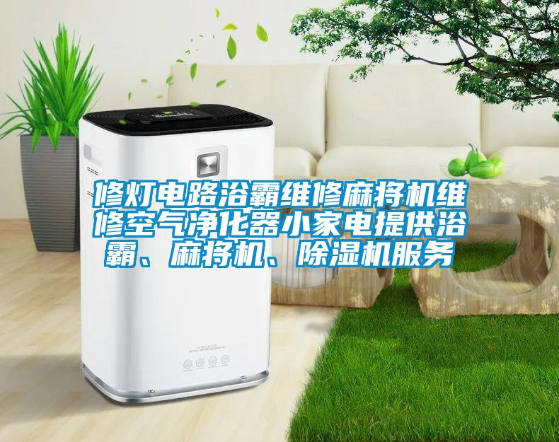 修燈電路浴霸維修麻將機(jī)維修空氣凈化器小家電提供浴霸、麻將機(jī)、除濕機(jī)服務(wù)