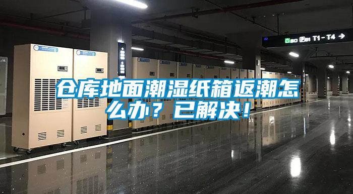 倉庫地面潮濕紙箱返潮怎么辦？已解決！
