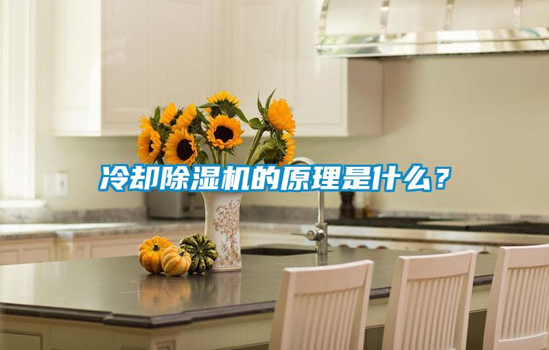 冷卻除濕機(jī)的原理是什么？