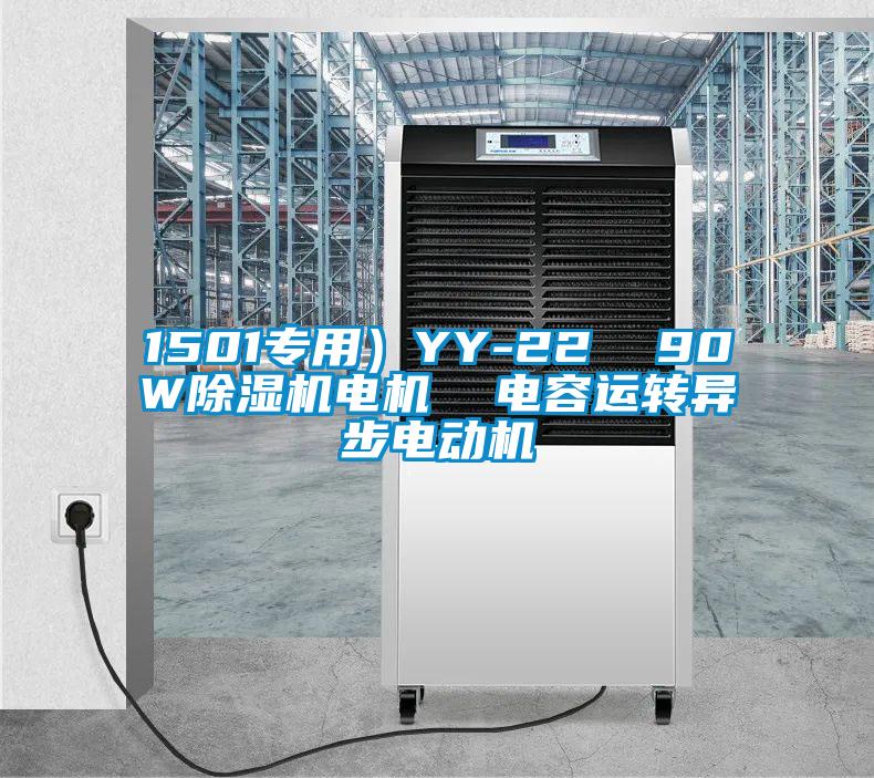 1501專用）YY-22  90W除濕機(jī)電機(jī)  電容運(yùn)轉(zhuǎn)異步電動機(jī)