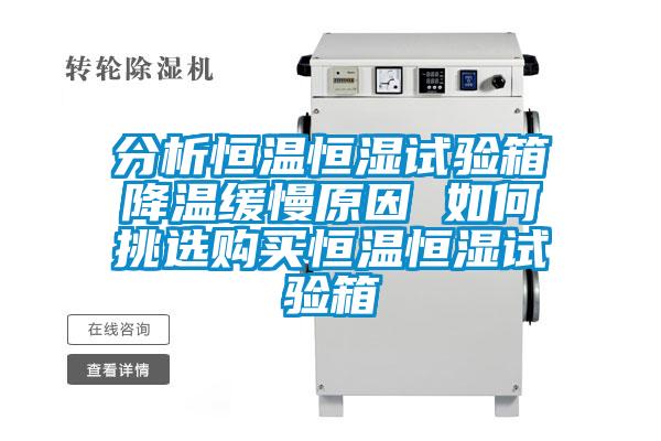 分析恒溫恒濕試驗(yàn)箱降溫緩慢原因 如何挑選購(gòu)買(mǎi)恒溫恒濕試驗(yàn)箱