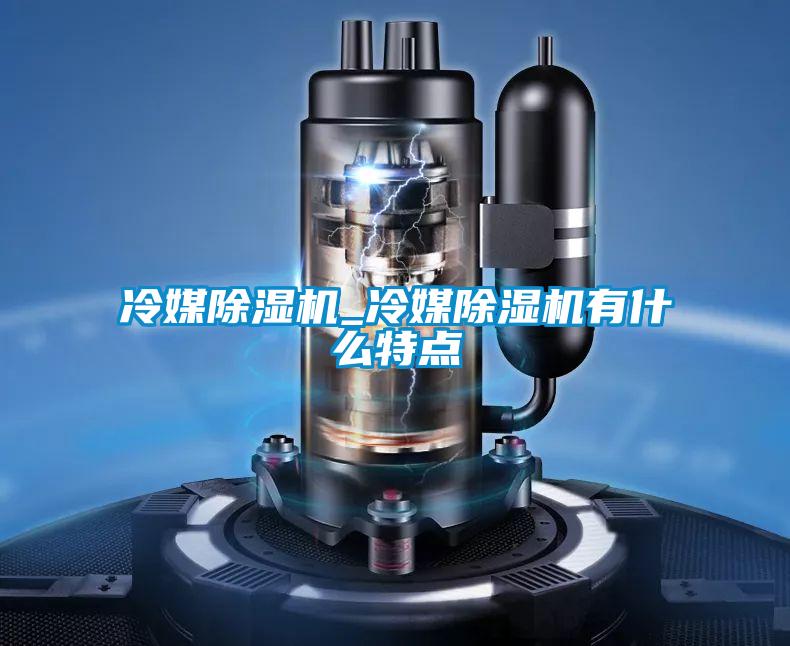 冷媒除濕機(jī)_冷媒除濕機(jī)有什么特點