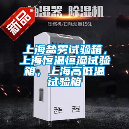 上海鹽霧試驗(yàn)箱，上海恒溫恒濕試驗(yàn)箱，上海高低溫試驗(yàn)箱