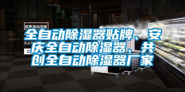 全自動除濕器貼牌、安慶全自動除濕器、共創(chuàng)全自動除濕器廠家