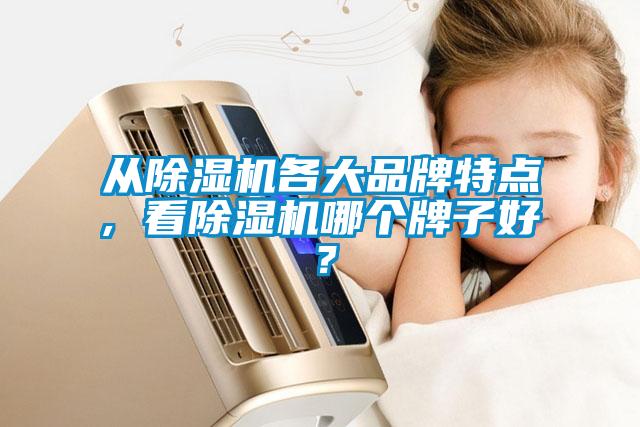 從除濕機各大品牌特點, 看除濕機哪個牌子好？