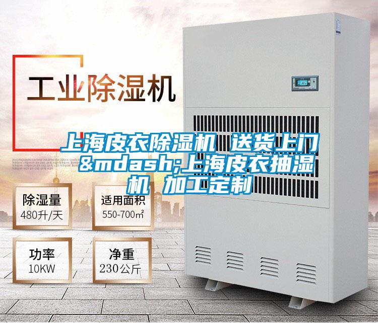 上海皮衣除濕機 送貨上門 &mdash;上海皮衣抽濕機 加工定制