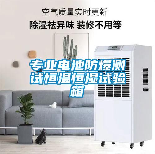 專業(yè)電池防爆測試恒溫恒濕試驗箱