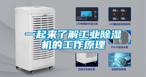 一起來了解工業(yè)除濕機(jī)的工作原理