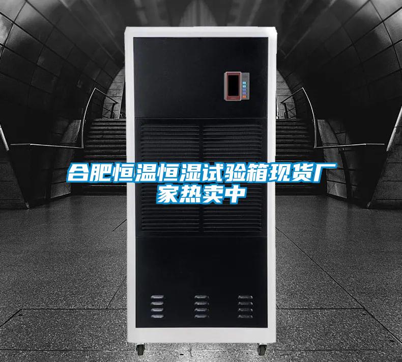 合肥恒溫恒濕試驗箱現(xiàn)貨廠家熱賣中