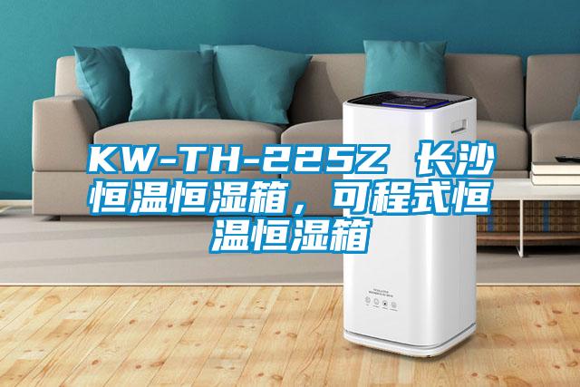 KW-TH-225Z 長(zhǎng)沙恒溫恒濕箱，可程式恒溫恒濕箱