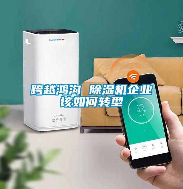 跨越鴻溝 除濕機企業(yè)該如何轉型