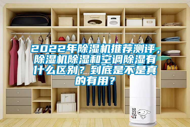 2022年除濕機推薦測評，除濕機除濕和空調除濕有什么區(qū)別？到底是不是真的有用？
