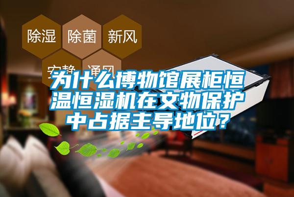 為什么博物館展柜恒溫恒濕機(jī)在文物保護(hù)中占據(jù)主導(dǎo)地位？