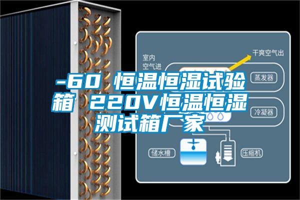 -60℃恒溫恒濕試驗(yàn)箱 220V恒溫恒濕測試箱廠家