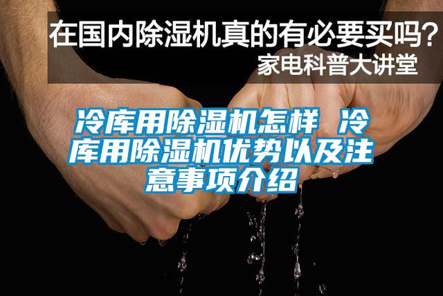 冷庫用除濕機(jī)怎樣 冷庫用除濕機(jī)優(yōu)勢以及注意事項(xiàng)介紹