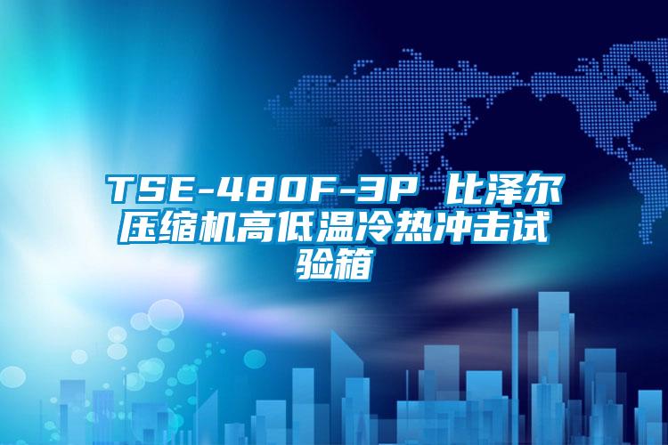TSE-480F-3P 比澤爾壓縮機(jī)高低溫冷熱沖擊試驗箱