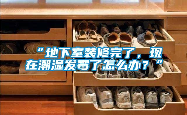 “地下室裝修完了，現(xiàn)在潮濕發(fā)霉了怎么辦？”
